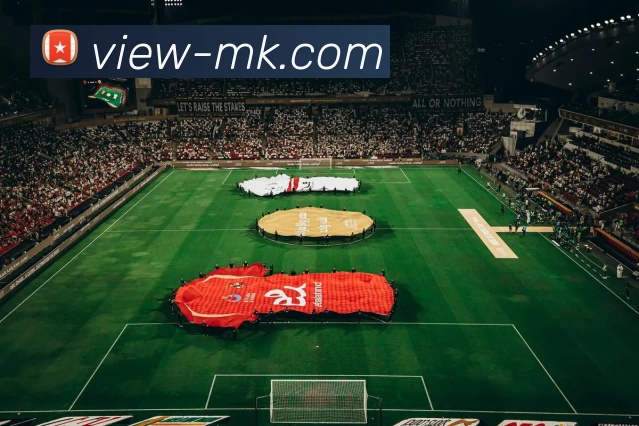 MK体育APP 封面图