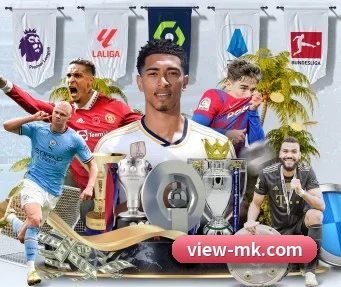 MK体育 APP